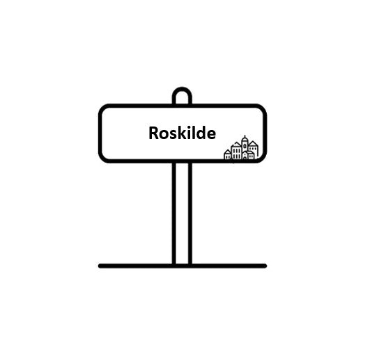 Mekaniker Roskilde